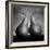 Peras enamoradas-Moises Levy-Framed Photographic Print