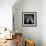 Peras Tiernas-Moises Levy-Framed Photographic Print displayed on a wall