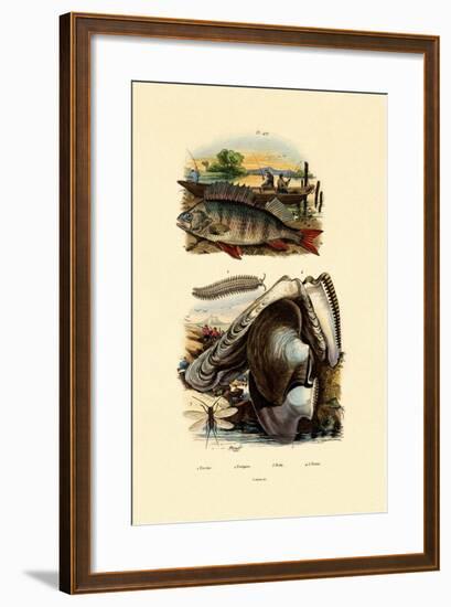 Perch, 1833-39-null-Framed Giclee Print