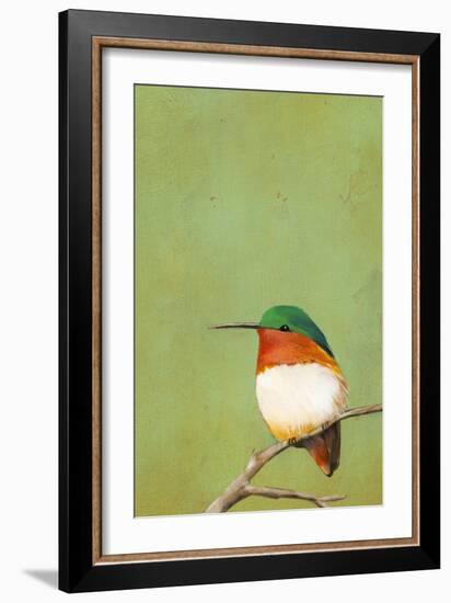 Perch III-Mehmet Altug-Framed Art Print