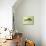 Perch on a Perch-Jeanne Maze-Mounted Giclee Print displayed on a wall