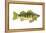 Perch (Perca Flavescens), Fishes-Encyclopaedia Britannica-Framed Stretched Canvas