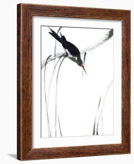 Perched Bird-Aurore De La Morinerie-Framed Art Print