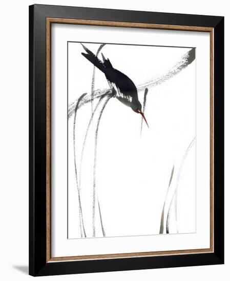 Perched Bird-Aurore De La Morinerie-Framed Art Print