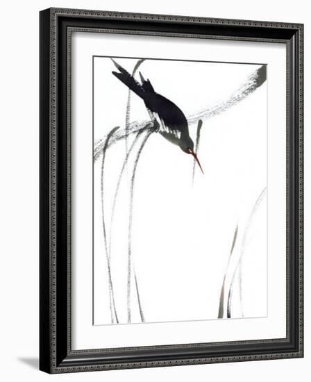 Perched Bird-Aurore De La Morinerie-Framed Art Print