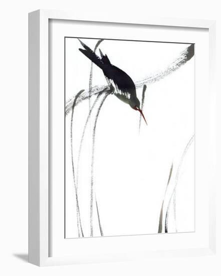 Perched Bird-Aurore De La Morinerie-Framed Art Print