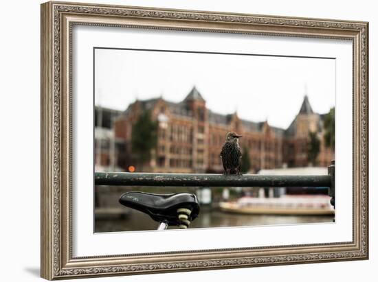 Perched I-Erin Berzel-Framed Photographic Print