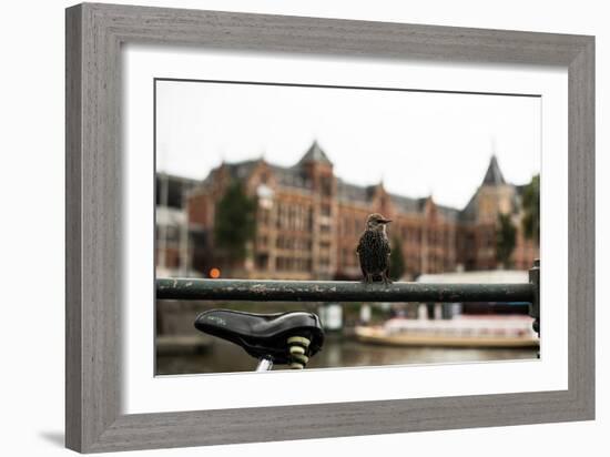 Perched I-Erin Berzel-Framed Photographic Print