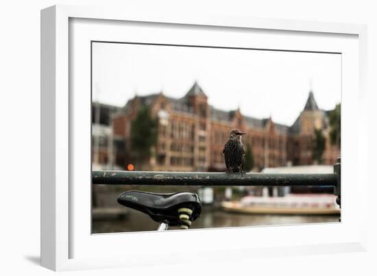 Perched I-Erin Berzel-Framed Photographic Print