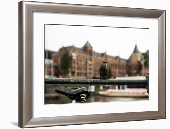 Perched I-Erin Berzel-Framed Photographic Print