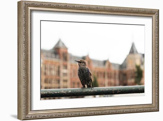 Perched II-Erin Berzel-Framed Photographic Print