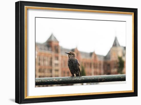 Perched II-Erin Berzel-Framed Photographic Print