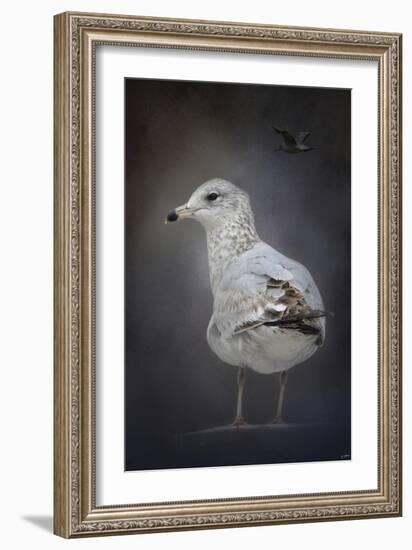 Perched Nearby Gull-Jai Johnson-Framed Giclee Print