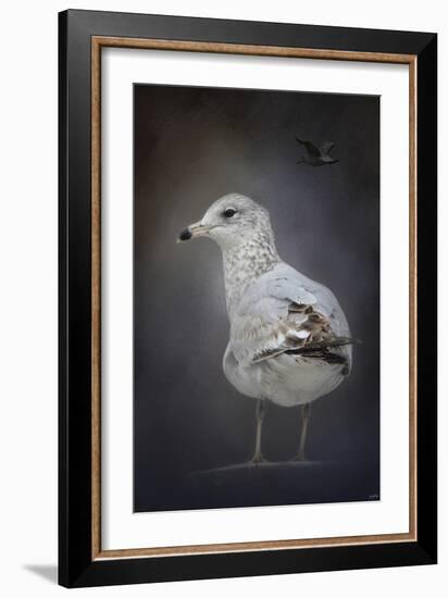 Perched Nearby Gull-Jai Johnson-Framed Giclee Print
