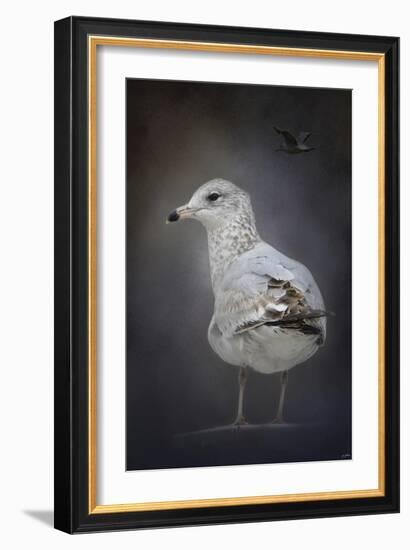 Perched Nearby Gull-Jai Johnson-Framed Giclee Print