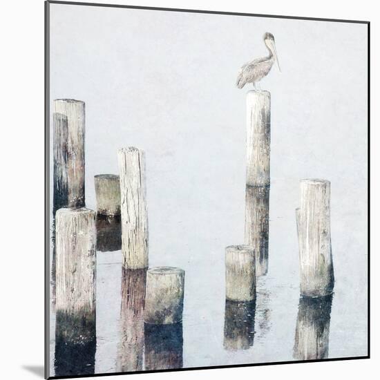 Perched Pelican-Bruce Nawrocke-Mounted Art Print