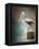 Perched Pelican-Jai Johnson-Framed Premier Image Canvas