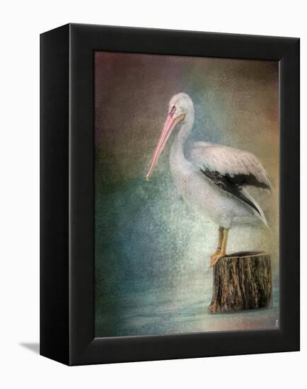 Perched Pelican-Jai Johnson-Framed Premier Image Canvas