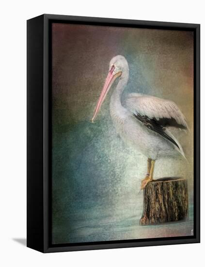 Perched Pelican-Jai Johnson-Framed Premier Image Canvas