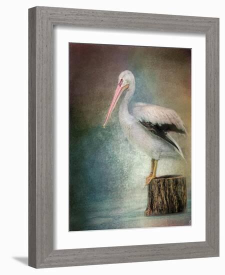 Perched Pelican-Jai Johnson-Framed Giclee Print