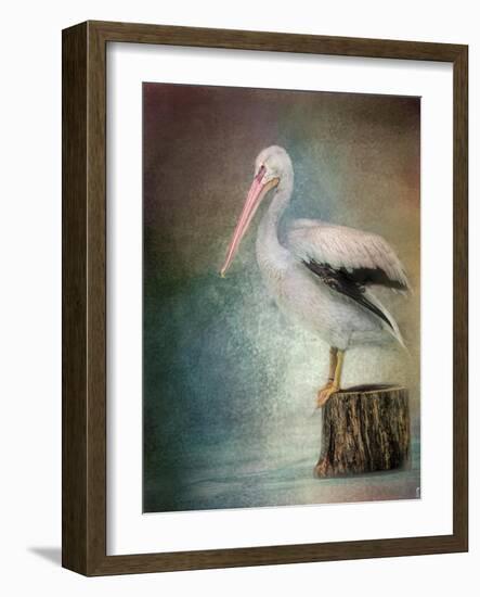 Perched Pelican-Jai Johnson-Framed Giclee Print