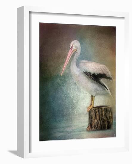 Perched Pelican-Jai Johnson-Framed Giclee Print