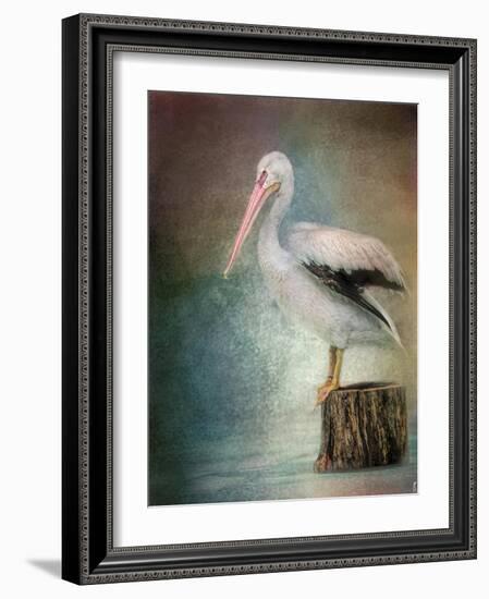 Perched Pelican-Jai Johnson-Framed Giclee Print