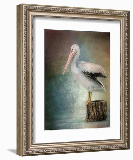 Perched Pelican-Jai Johnson-Framed Giclee Print