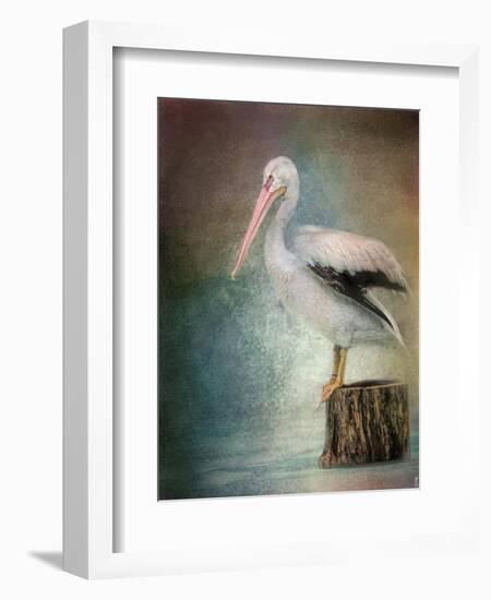 Perched Pelican-Jai Johnson-Framed Giclee Print