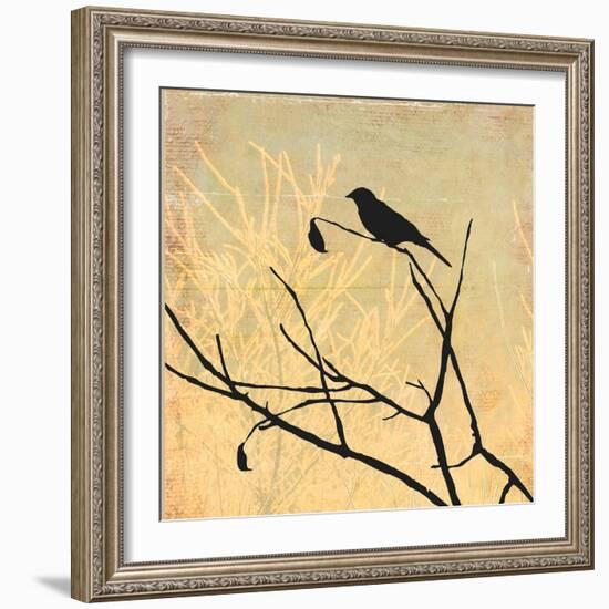 Perched-Andrew Michaels-Framed Art Print