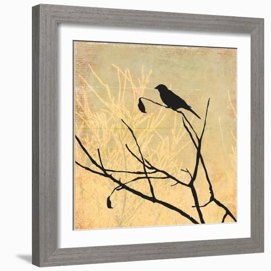 Perched-Andrew Michaels-Framed Art Print