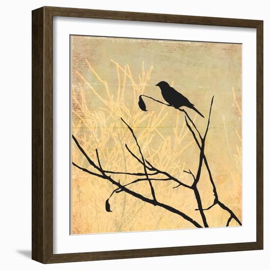 Perched-Andrew Michaels-Framed Art Print