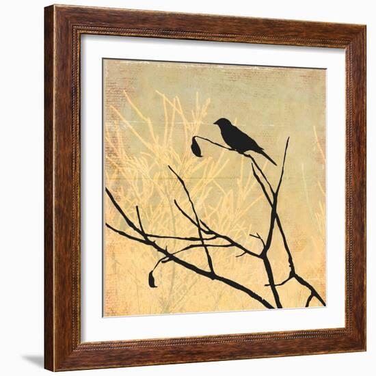 Perched-Andrew Michaels-Framed Art Print