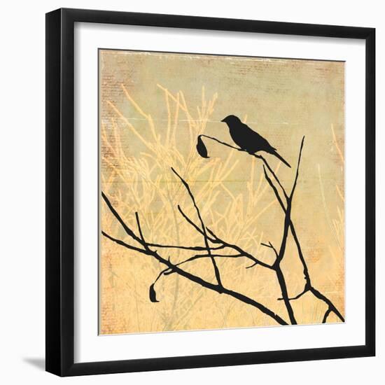 Perched-Andrew Michaels-Framed Art Print