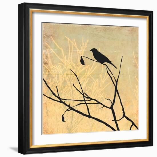 Perched-Andrew Michaels-Framed Art Print