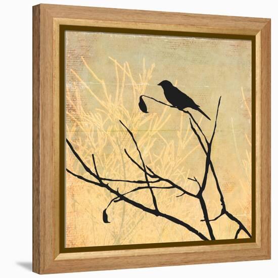 Perched-Andrew Michaels-Framed Stretched Canvas