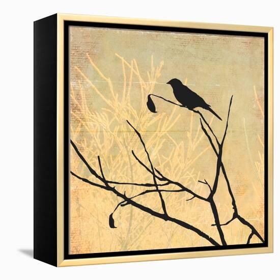 Perched-Andrew Michaels-Framed Stretched Canvas