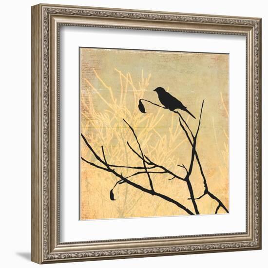 Perched-Andrew Michaels-Framed Art Print