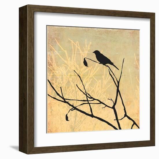 Perched-Andrew Michaels-Framed Art Print