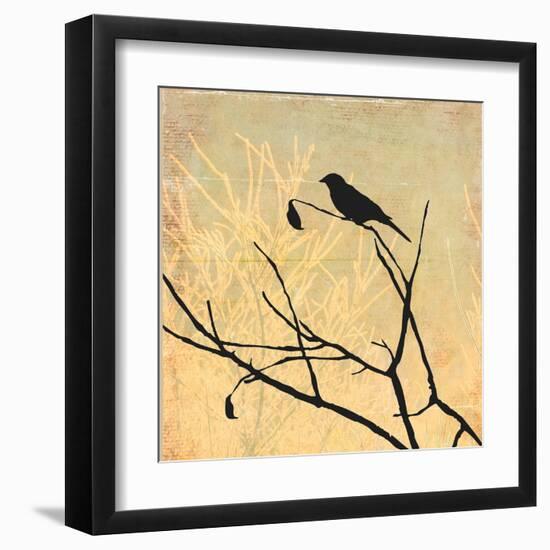 Perched-Andrew Michaels-Framed Art Print