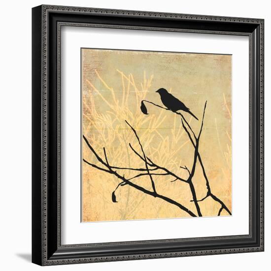 Perched-Andrew Michaels-Framed Art Print