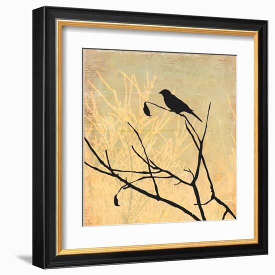 Perched-Andrew Michaels-Framed Art Print