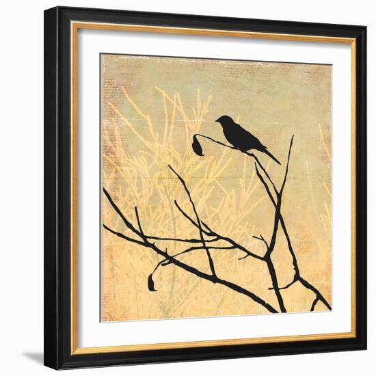 Perched-Andrew Michaels-Framed Premium Giclee Print
