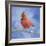 Perching Bird-Sarah Simpson-Framed Giclee Print