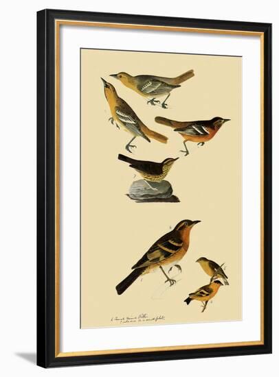 Perching Birds-John James Audubon-Framed Giclee Print