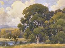 Eucalyptus-Percy Gray-Stretched Canvas