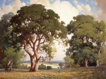 Marin Oaks-Percy Gray-Art Print