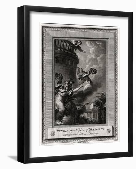 Perdix, the Nephew of Daedalus, Transformed into a Partridge, 1774-W Walker-Framed Giclee Print