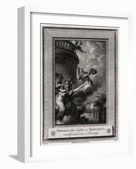 Perdix, the Nephew of Daedalus, Transformed into a Partridge, 1774-W Walker-Framed Giclee Print
