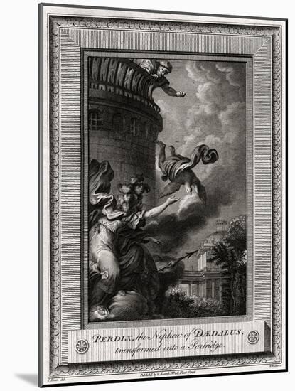 Perdix, the Nephew of Daedalus, Transformed into a Partridge, 1774-W Walker-Mounted Giclee Print